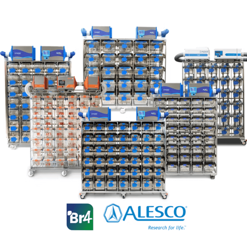 Racks Ventilados
