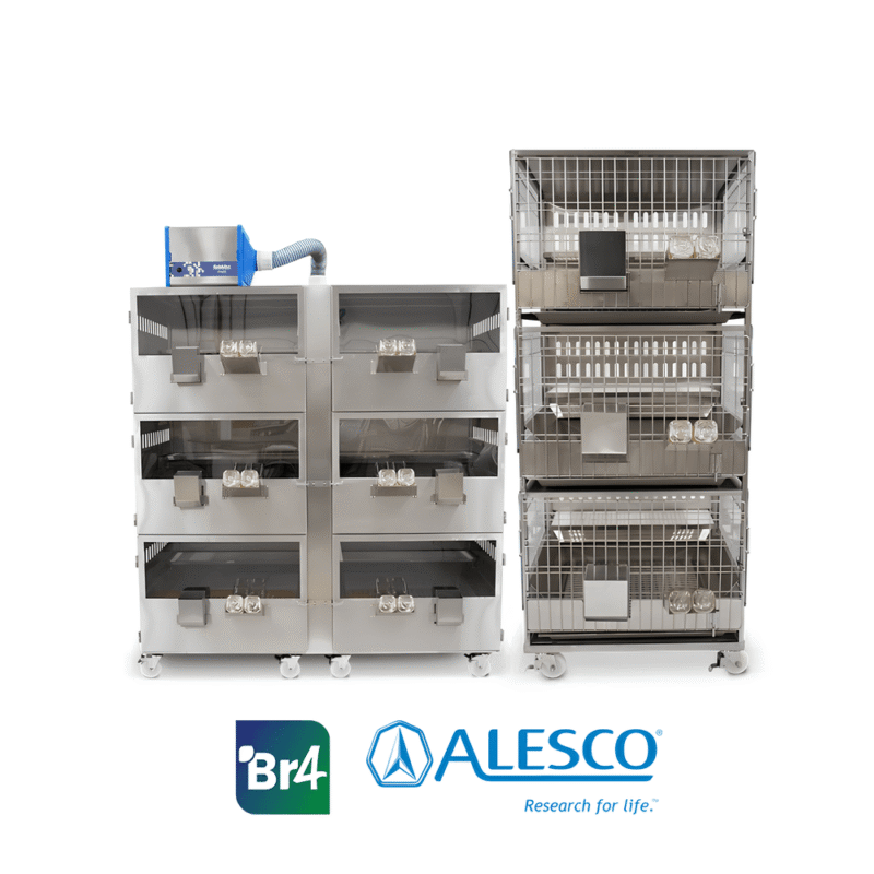 Rack Para Coelhos