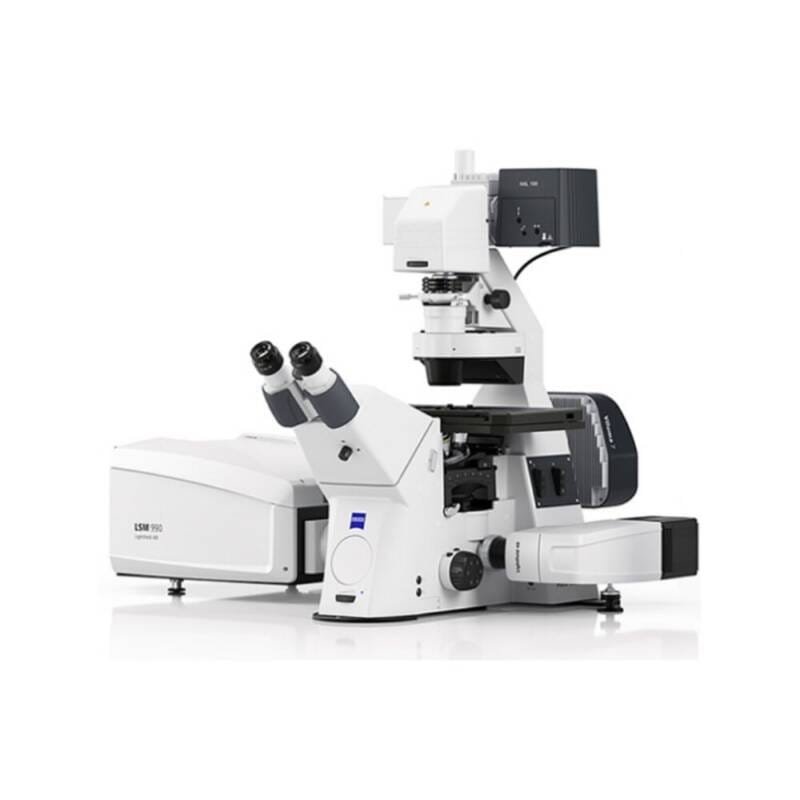 ZEISS LSM 990